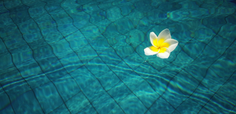 Why You Need Good Software If You Are In The Swimming Pool Business