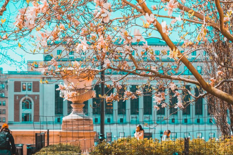 5 Ways Universities Are Effectively Using Virtual Reality
