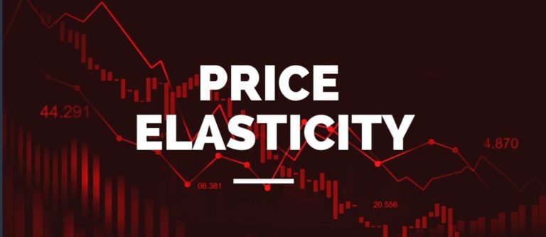 Price Elasticity of Demand: Everything You Need to Know