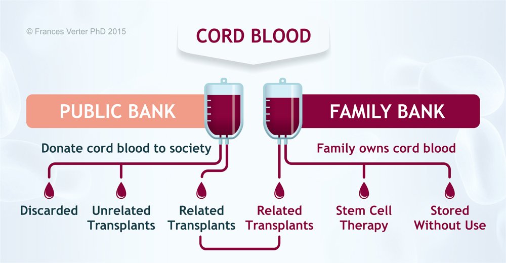 Cord Blood