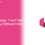 Flamingo Twitter App Alternatives