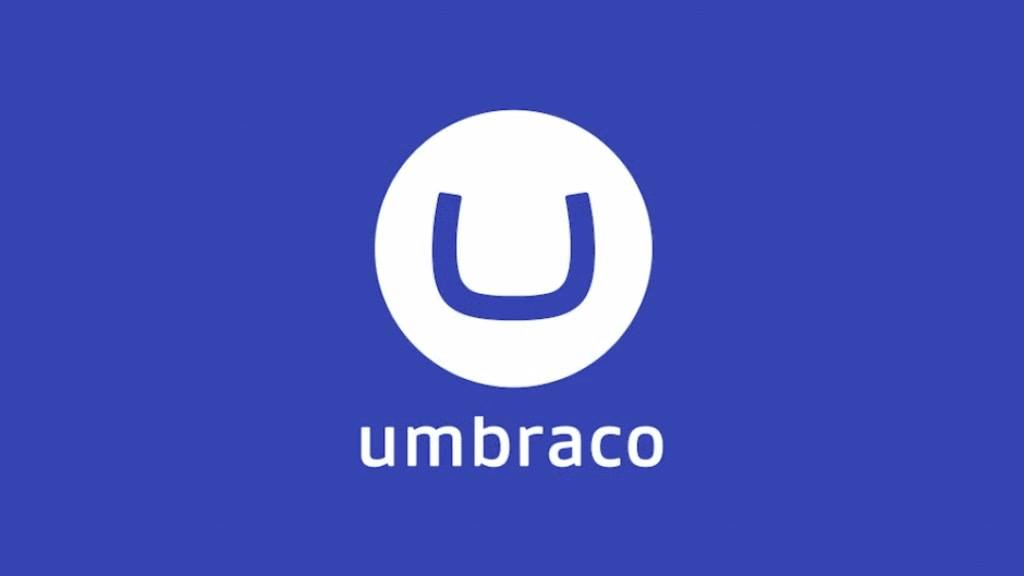 How does Umbraco compare to other CMS choices?
