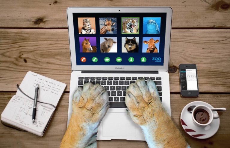 5 Simple Tricks To Use To Achieve Best Results While Downloading Videos Online