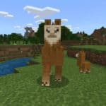 how to breed llamas in minecraft