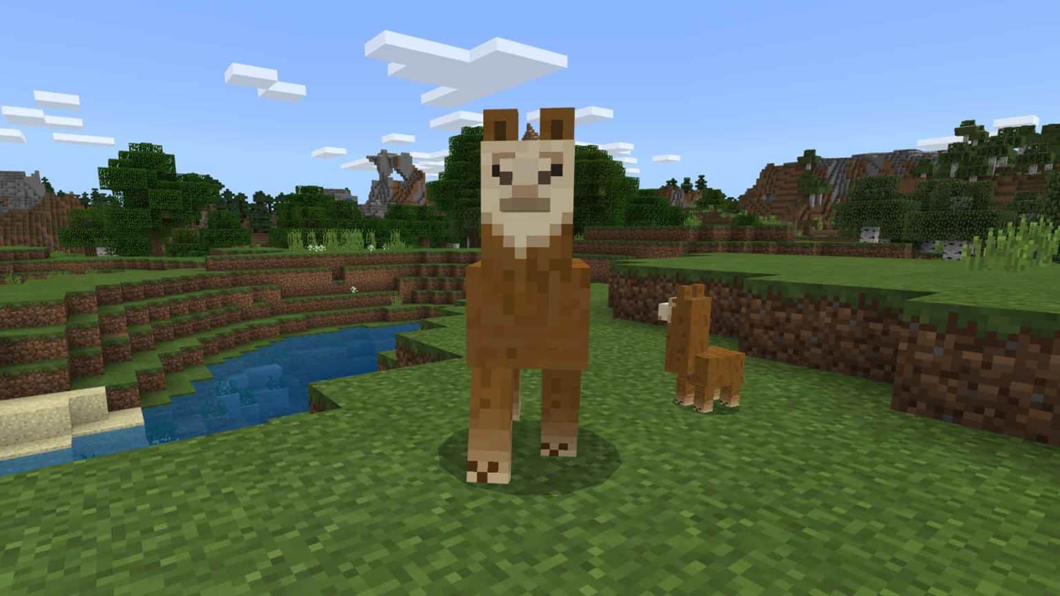 Minecraft How To Breed Llamas