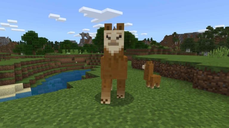 how to breed llamas in minecraft