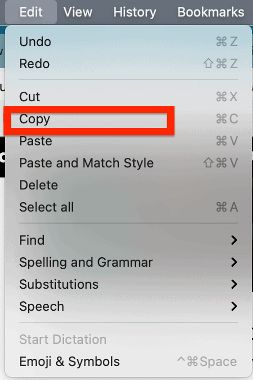 edit menu copy