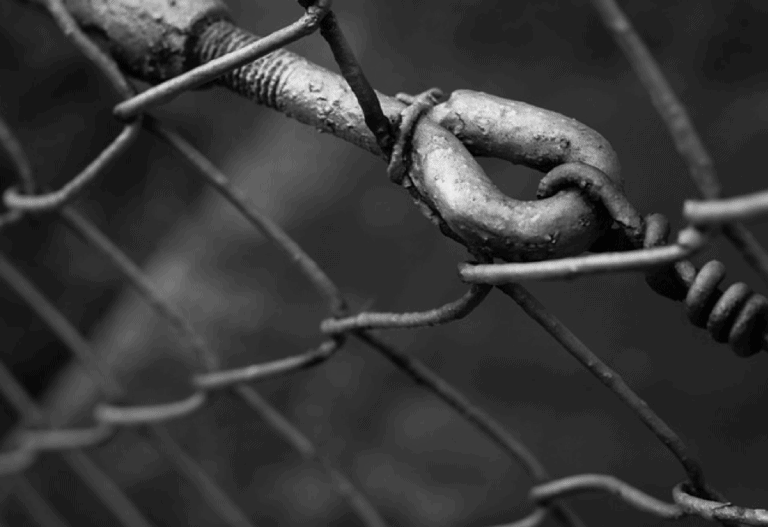 You Can Build Links for Free