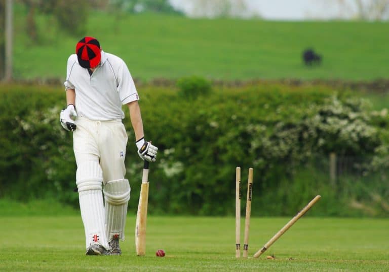 cricket