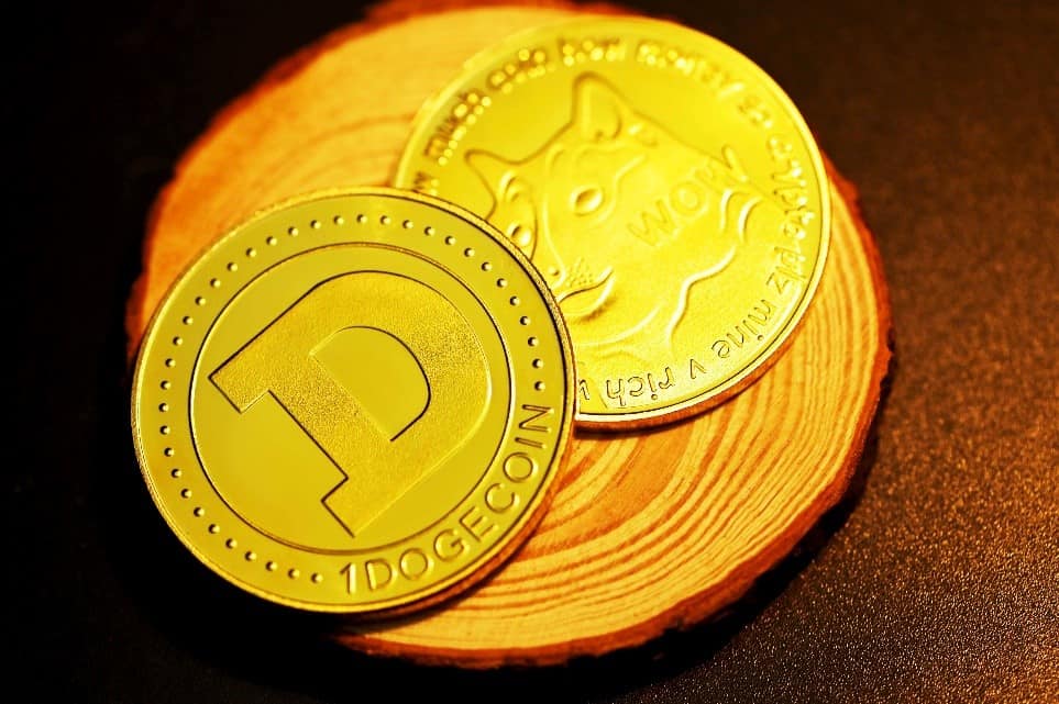 New Floki Crypto Coin