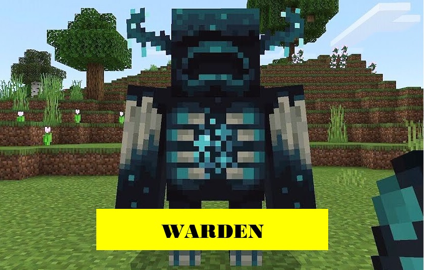 warden