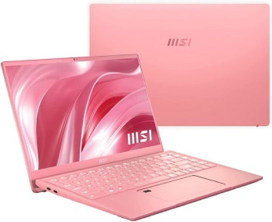 14" Pink Laptop