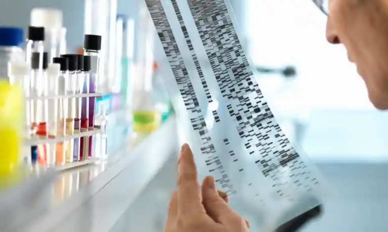Researches in Genetics