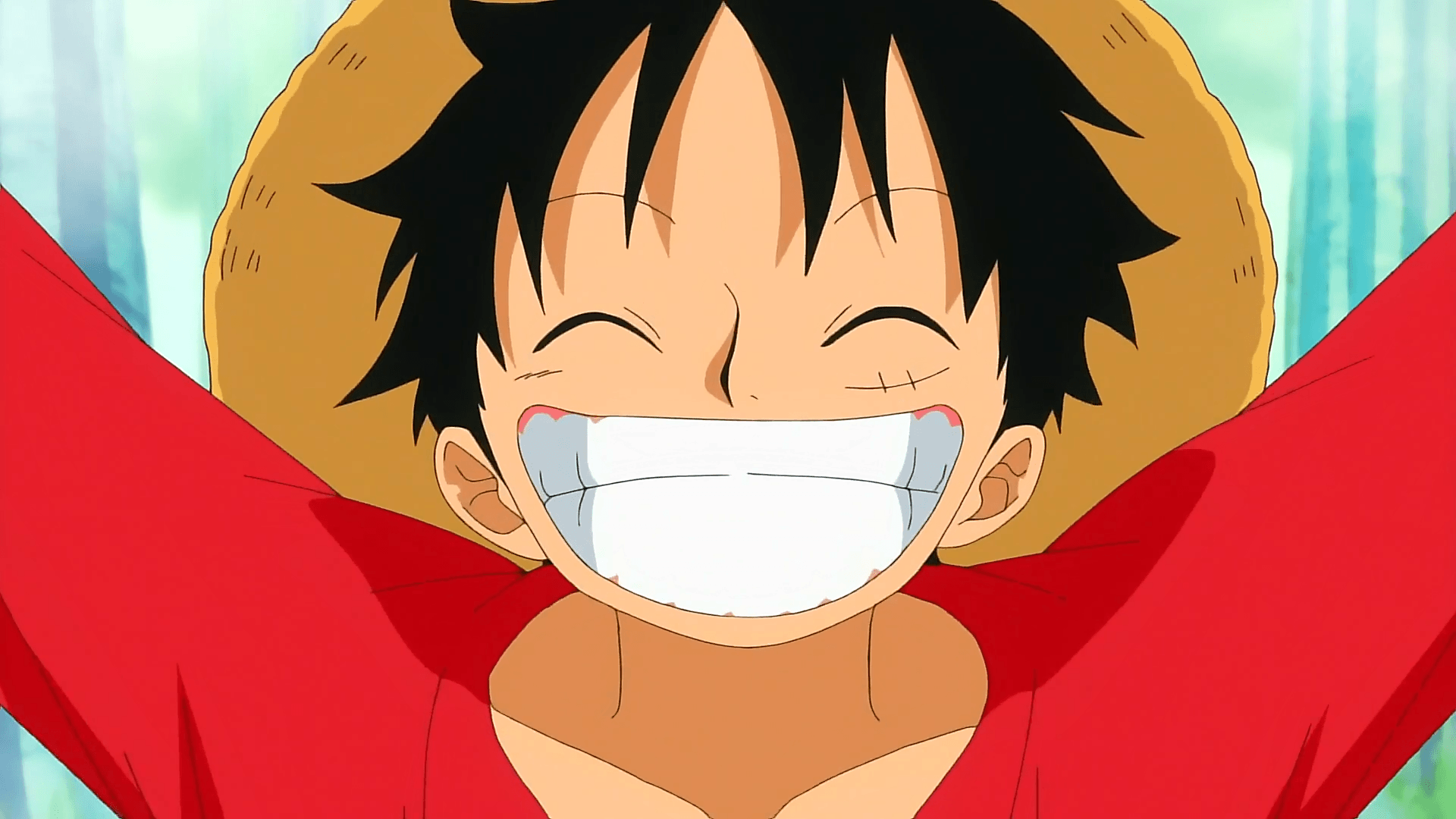 Monkey D. Luffy PFP