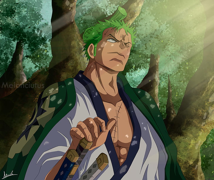 42 Aesthetic Roronoa Zoro One Piece PFP & Icon - Divedigital EN