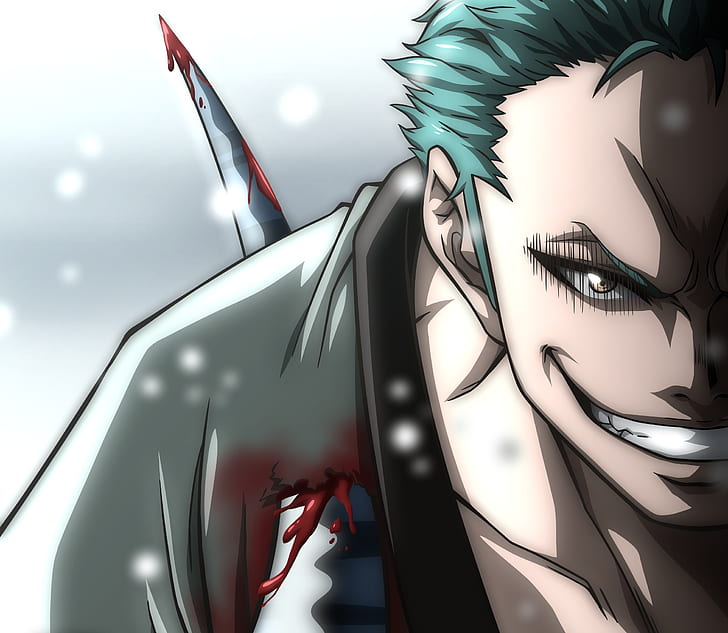 42 Aesthetic Roronoa Zoro One Piece PFP & Icon - Divedigital EN