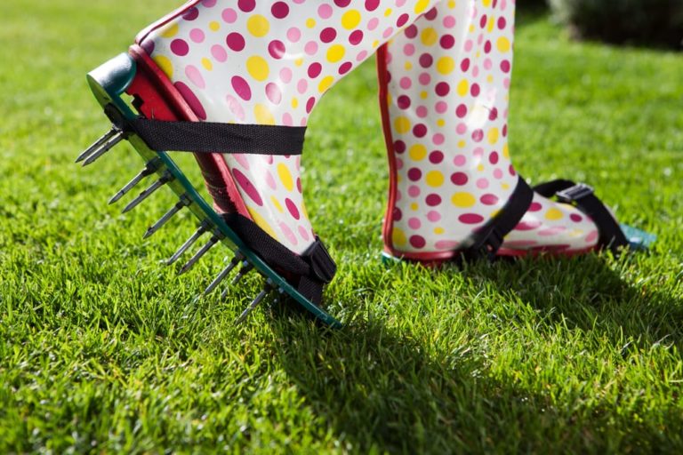 Your Lawn