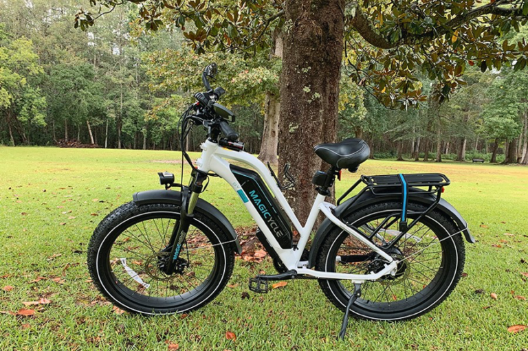 Best Fat Tire Electric Bike