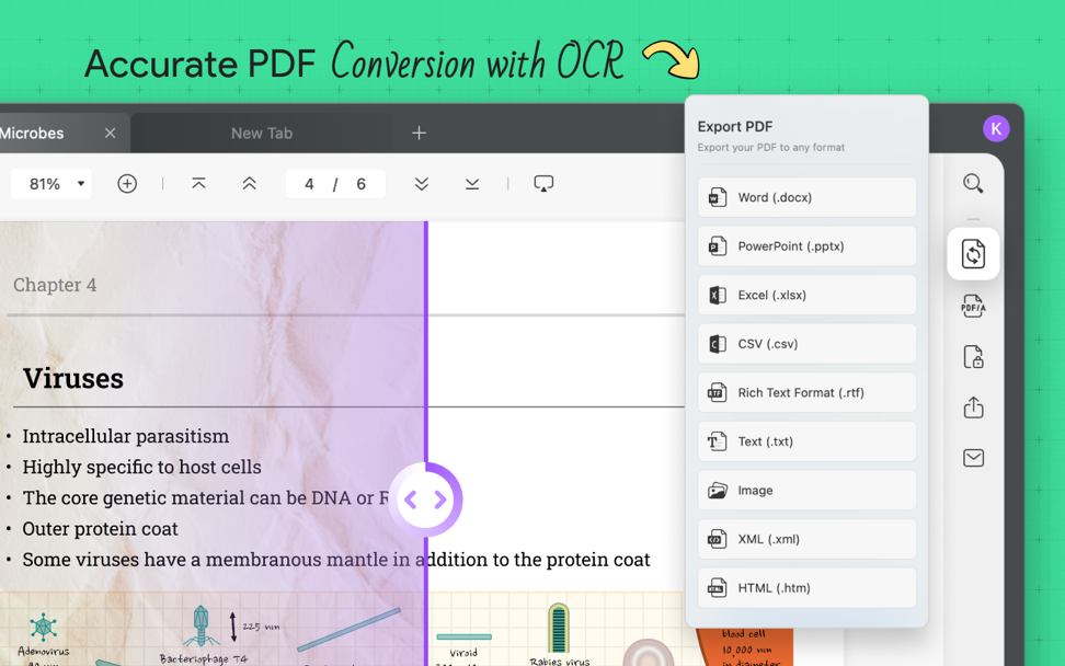 Convert PDF