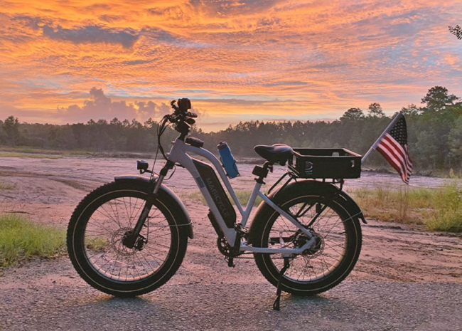 Ebike Maintenance