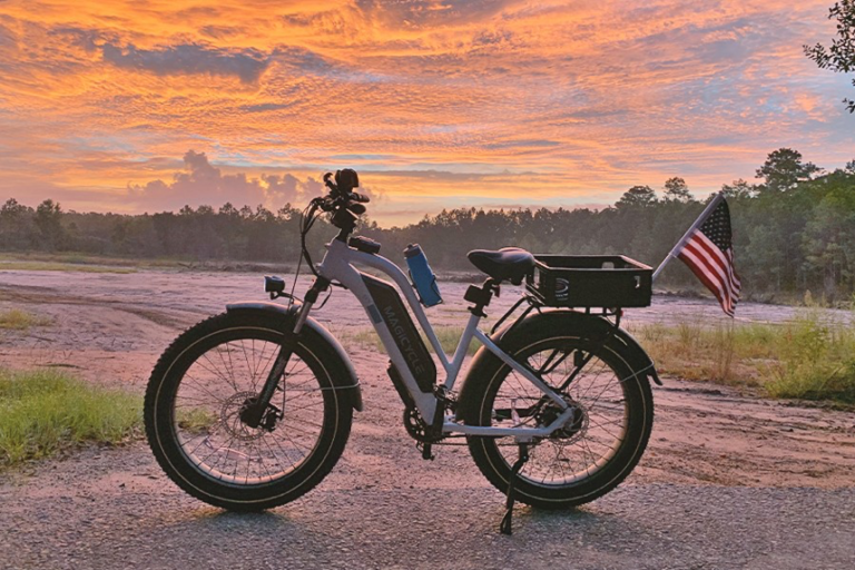 Ebike Maintenance