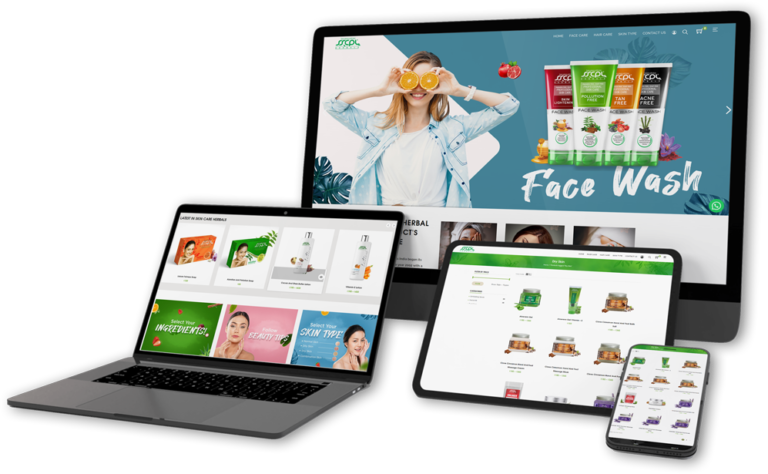 Ace Web Development Team