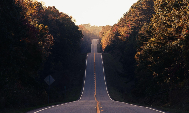 Roadmap to Success in the Forex Market in South Africa