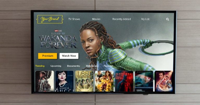 Best Streaming Services