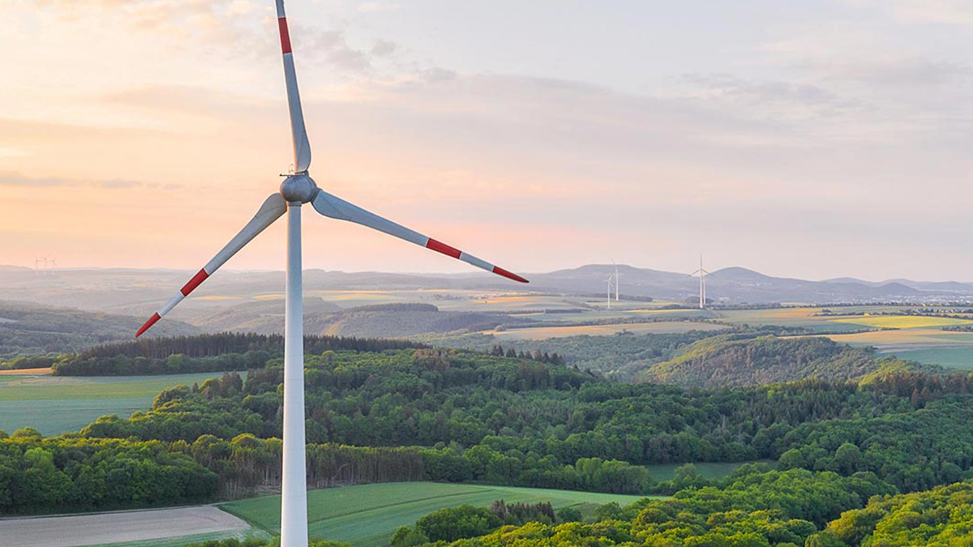 Sourcing Sustainable Energy: A Global Perspective on Renewable Energy Options