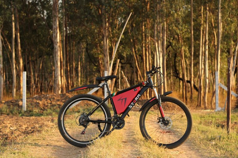 eBikes
