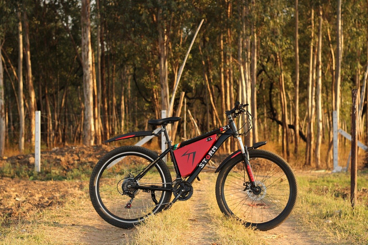 eBikes
