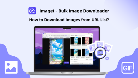 Imaget downloader image 1