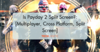 Is Payday 2 Split Screen?: [Multiplayer, Cross Platform, Split Screen]