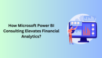 How Microsoft Power BI Consulting Elevates Financial Analytics?