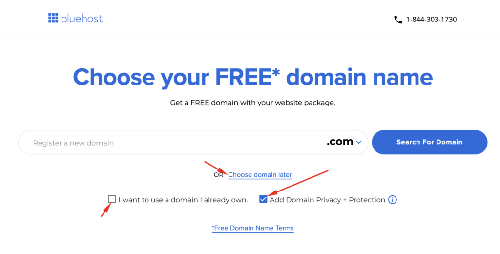choose-domain-name