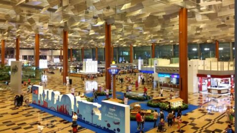 Eco-Friendly & Eye-Catching