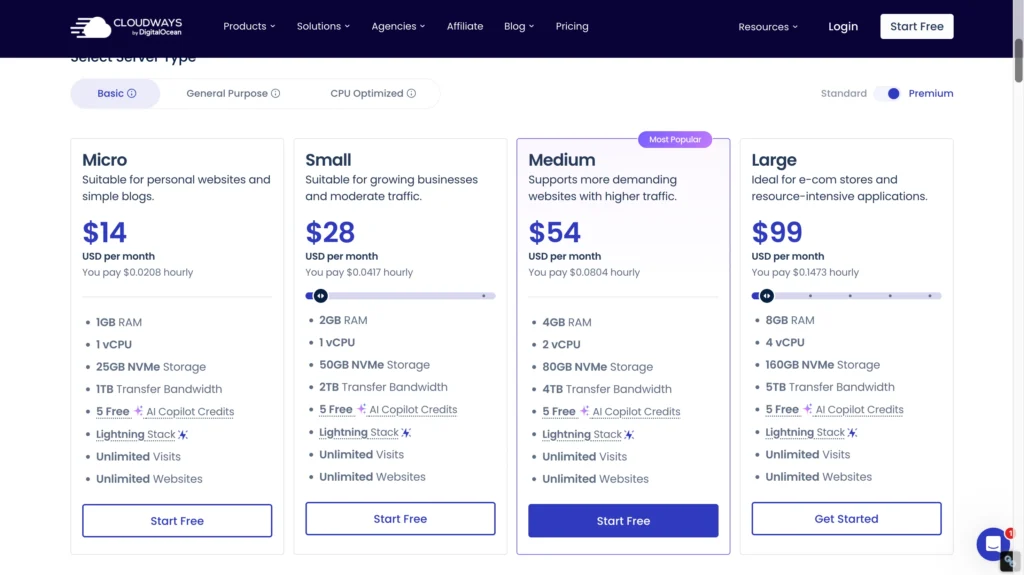 cloudways - best hosting for small business wordpress