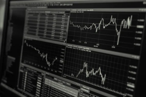 Synthetic Indices Calculator for Managing Risks and Maximizing Profits